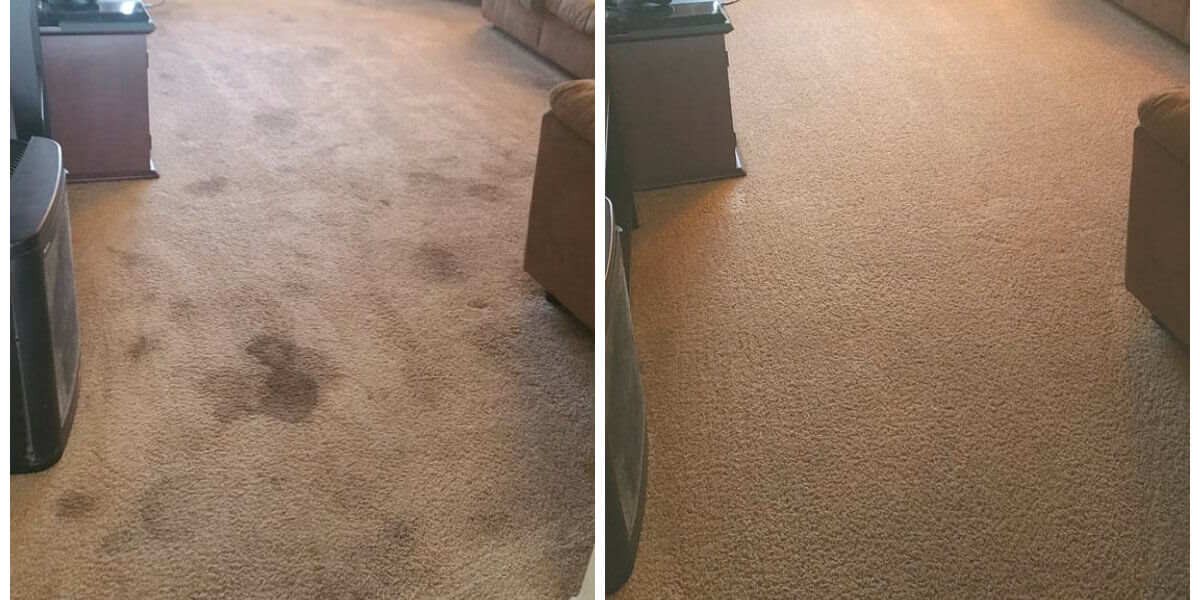 Detroit Rural Home Carpet Made New